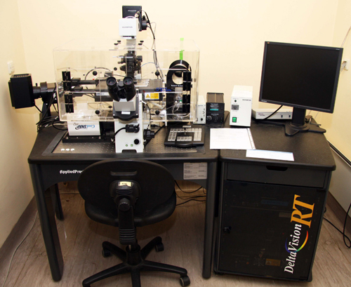 Deltavision DeltavisionRT Image restoration workstation